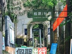-天目山大树王景区
