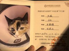 -奈斯宠物医院·核磁CT·异宠专科·内镜(中南店)