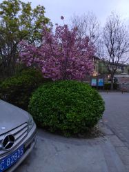 点击看大图 -芙蓉花月子会所(朝阳区店)
