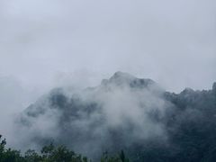 -王顺山国家森林公园