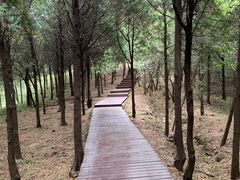 -北京十三陵国家森林公园蟒山景区
