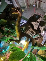 -恐龙探索乐园(磁器口店)