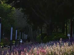 -五通灯塔公园