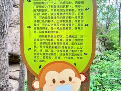 -大岭沟猕猴桃谷风景区