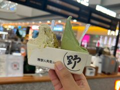 -野人先生Gelato(上海长宁龙之梦店)