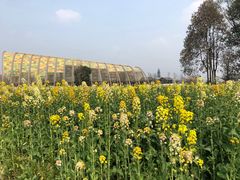 -中国天府农业博览园