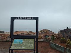 -广东惠东海龟国家级自然保护区