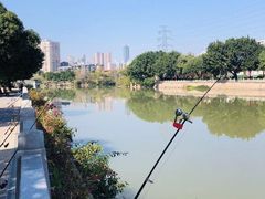 -光明港公园