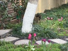 -浙江大学(玉泉校区)