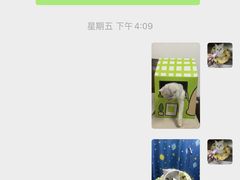 -宠颐生斯嘉宠物医院·急重症·心内科(谷阳北路分院)