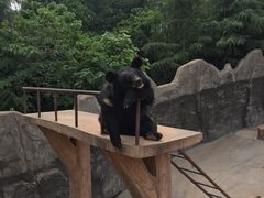 -东方熊牧场