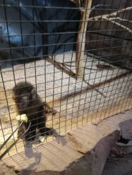 -酷嗒动物文化乐园(cutezoo西溪乐天城店)