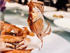 -大董(环贸iapm店)