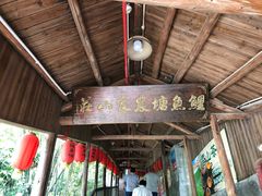 -鲤鱼塘农家山庄