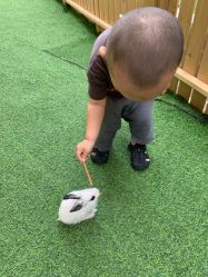 点击看大图 -萌宠亲子动物乐园(槐房万达店)