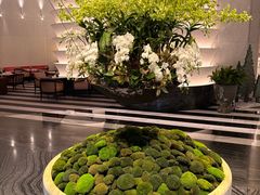 -新加坡文华东方酒店