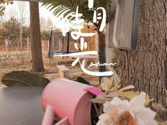 -安德鲁户外烧烤帐篷营地(马泉营店)