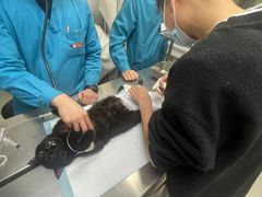 -瑞派宠物医院·24h·骨外科·皮肤科·全科宠物医疗转诊中心(沈阳浑南院)