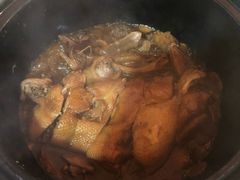 -百家春好德来姜母鸭