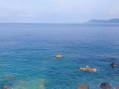 -费特希耶滑翔伞