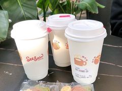 -Seesaw Coffee(88铜仁路店)