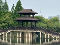 -洋湖国家湿地公园