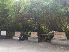 -小洲村