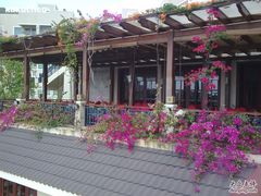 -三亚亚龙湾凯莱仙人掌度假酒店