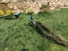 -无锡动物园·太湖欢乐园