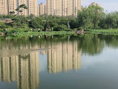 -前关湿地公园