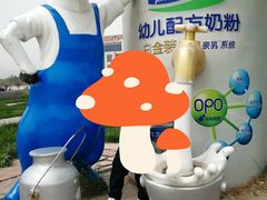 -君乐宝优致牧场