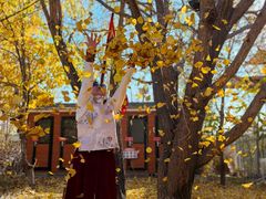 -哈密回王府景区