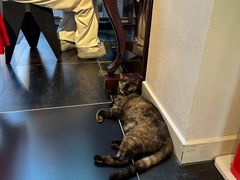 -EATALIA意塔利意式餐厅(鼓楼店)