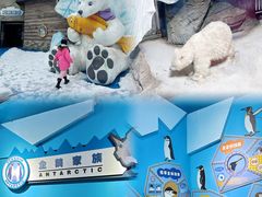 -海合安武汉极地海洋公园