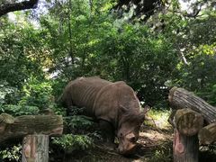 -邵汇大虾(吉林大路店)