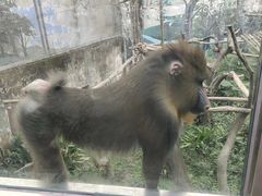 -成都动物园