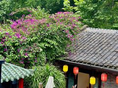 -院8里·少城记忆老川菜(宽窄巷子店)