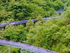 -安吉龙王山峡谷漂流