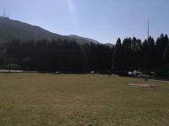 -武陵山森林公园