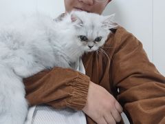 -美联众合动物医院·24h转诊中心