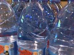 -颐辰舍岁岁羊(文昌万达景园店)