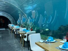 -海棠湾洲际-涛·海底餐厅·美人鱼·自助餐·海底隧道