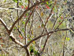 -北京西山国家森林公园