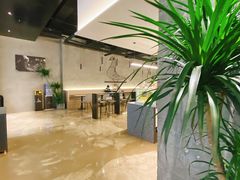 -野鸽子咖啡(中航店)