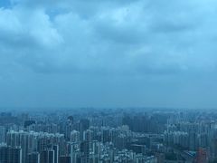 -上海龙之梦万丽酒店