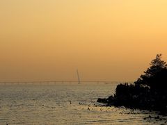 -深圳湾公园(南山区)