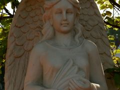 -哈尔滨文化公园