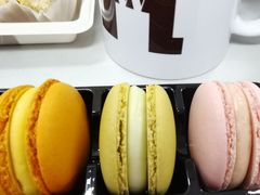 马卡龙糕点混装五粒-85度C(深圳佳宁娜店)