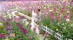 -青禾婚纱摄影(杭州店)