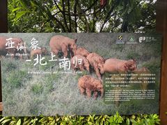 -野象谷景区